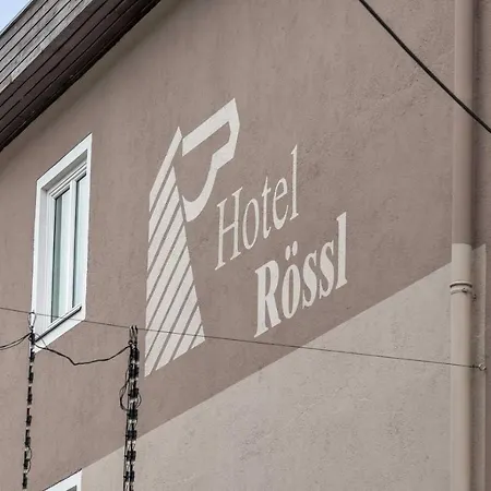 Roessl By Skinetworks Hotel Schladming